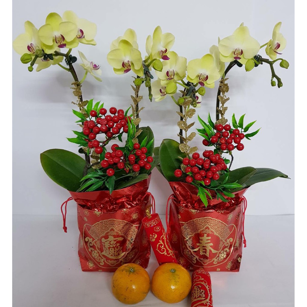 新年福袋束口盆套