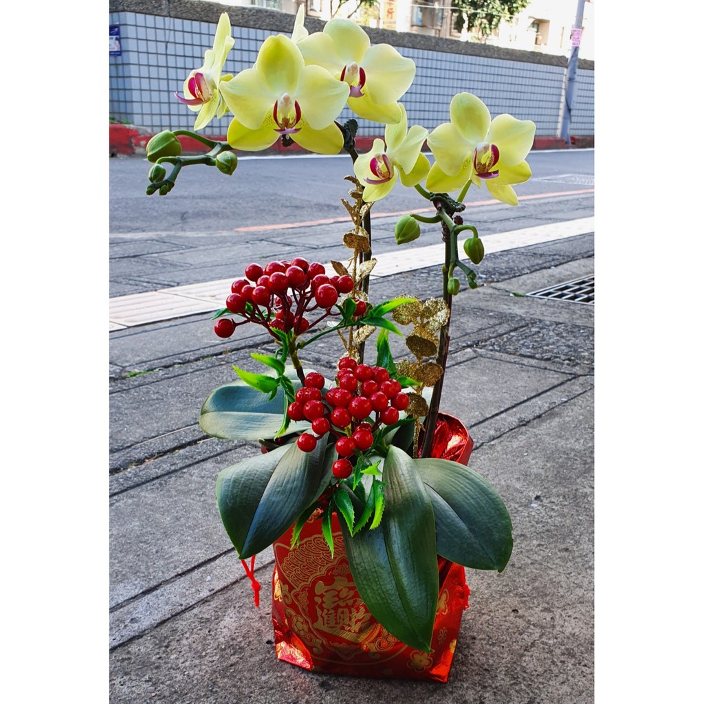 新年福袋束口盆套
