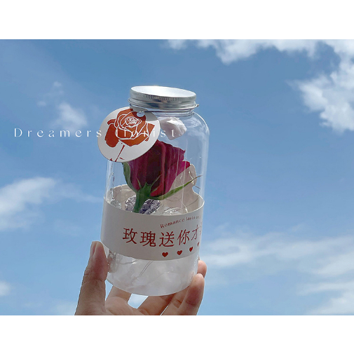 【6入/包】冰凍玫瑰