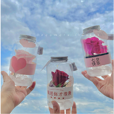 【6入/包】冰凍玫瑰