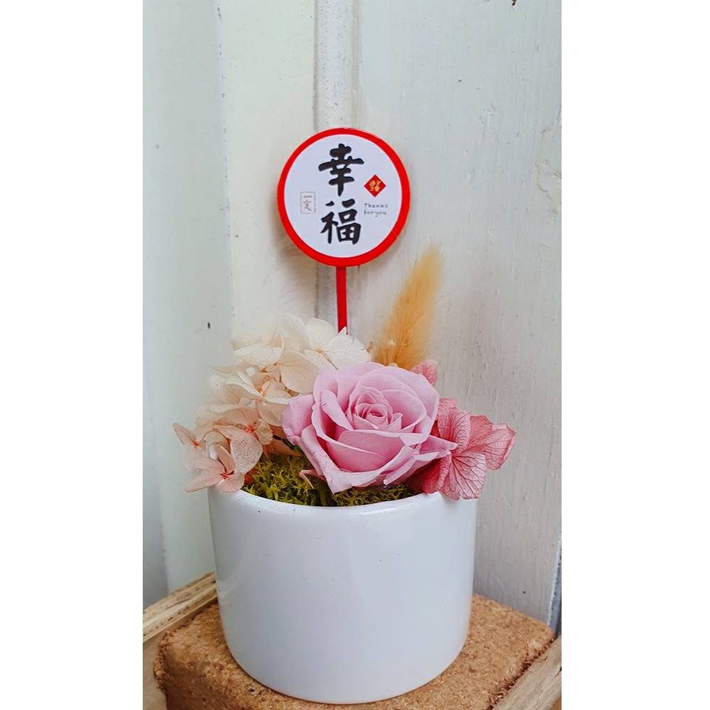 【5入/包】小圓滿花插