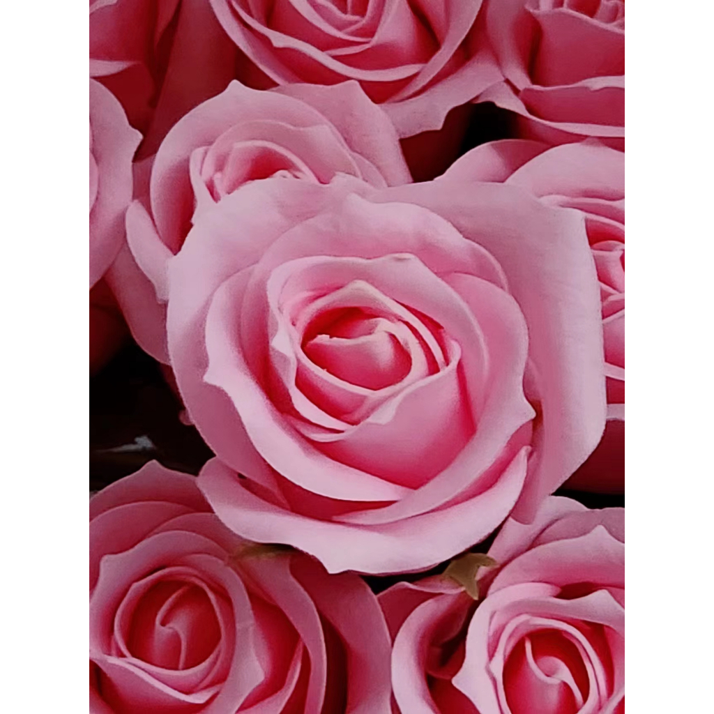 【50入/盒】冷美人玫瑰香皂花