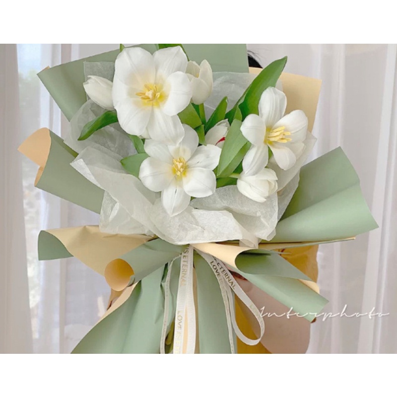 【50入/包】30*30cm小號棉花糖