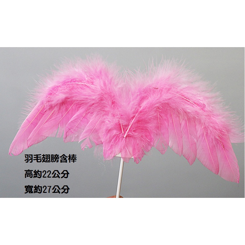 羽毛裝飾