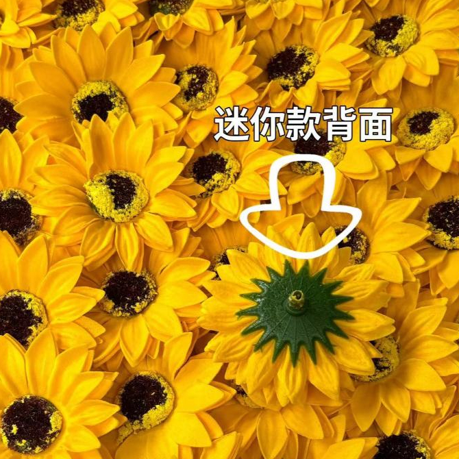 太陽花香皂花(盒)