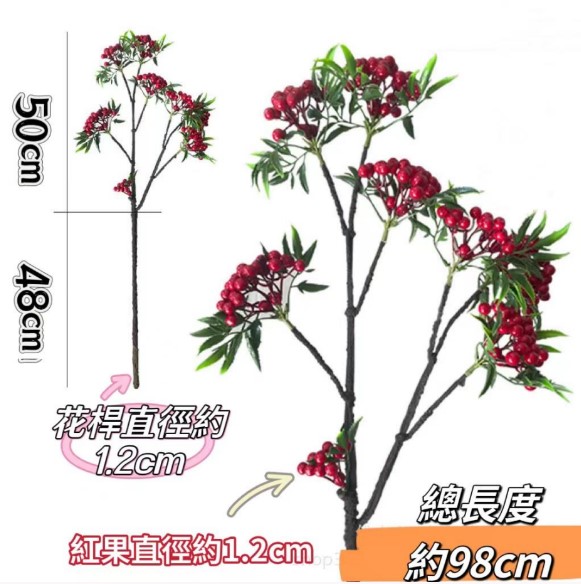 帶葉小紅果/發財果樹