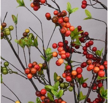 帶葉小紅果/發財果樹