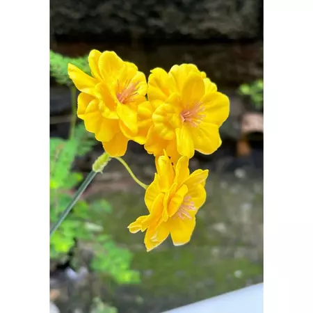 【50入/盒】櫻花香皂花