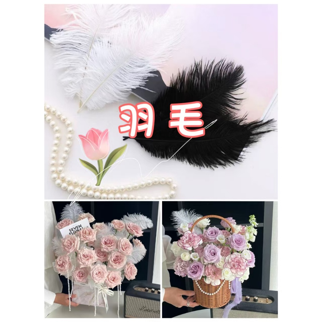 【10入/包】染色羽毛(小款)