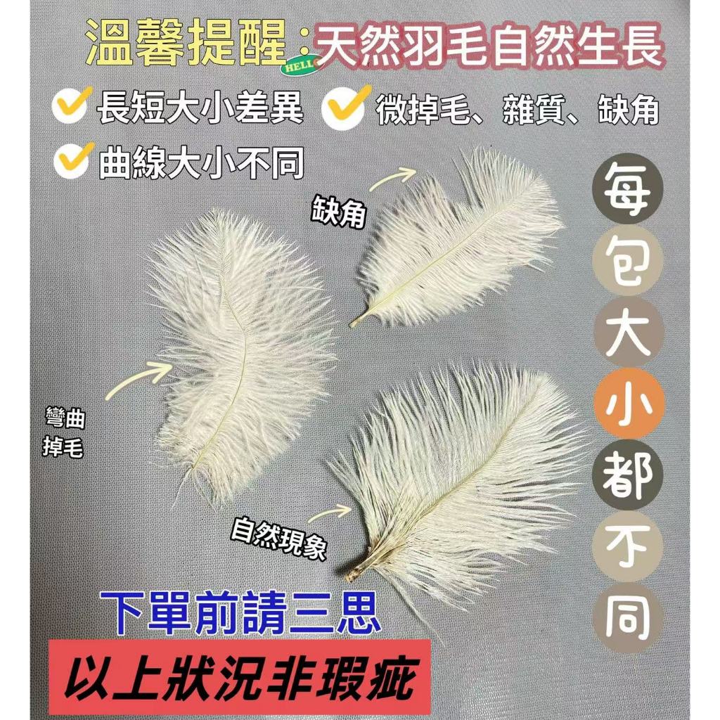 【10入/包】染色羽毛(小款)