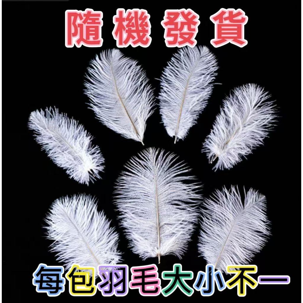 【10入/包】染色羽毛(小款)