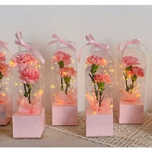 (10入/包)燈塔透明花盒
