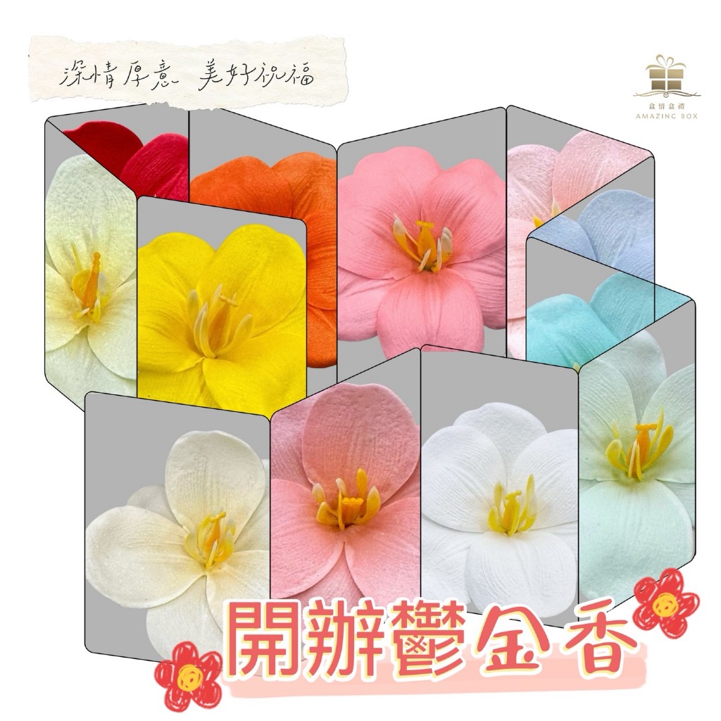 開辦鬱金香(25入)