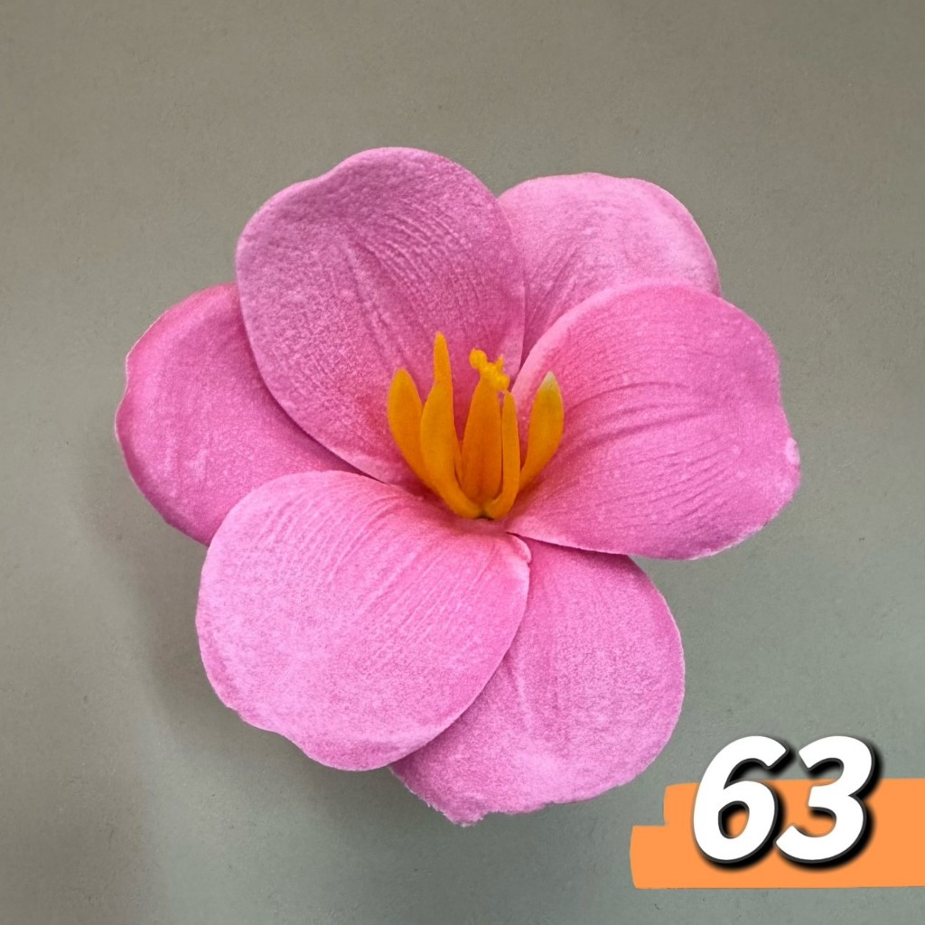 開辦鬱金香(25入)