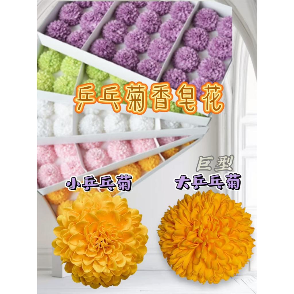 乒乓菊香皂花