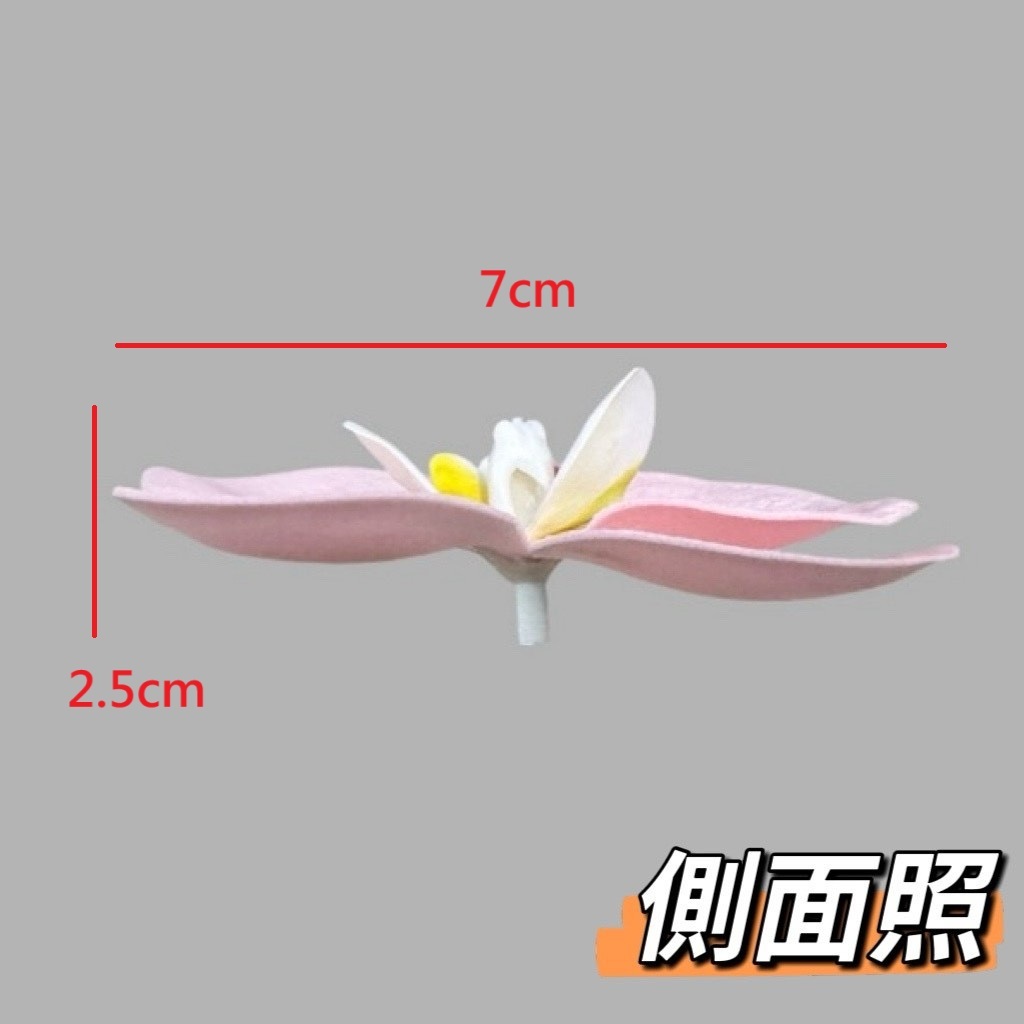 蝴蝶蘭香皂花(25入)